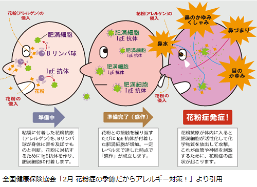 症 痒み 花粉 喉 の 喉がかゆいのは風邪ではない？！アレルギーのサインかも