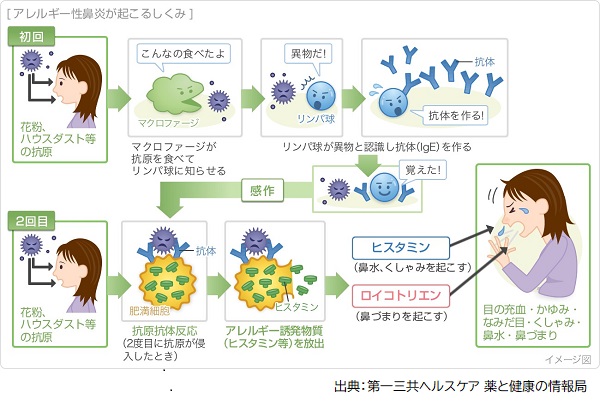 花粉 飲み 薬