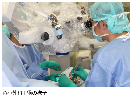 微小外科手術の様子